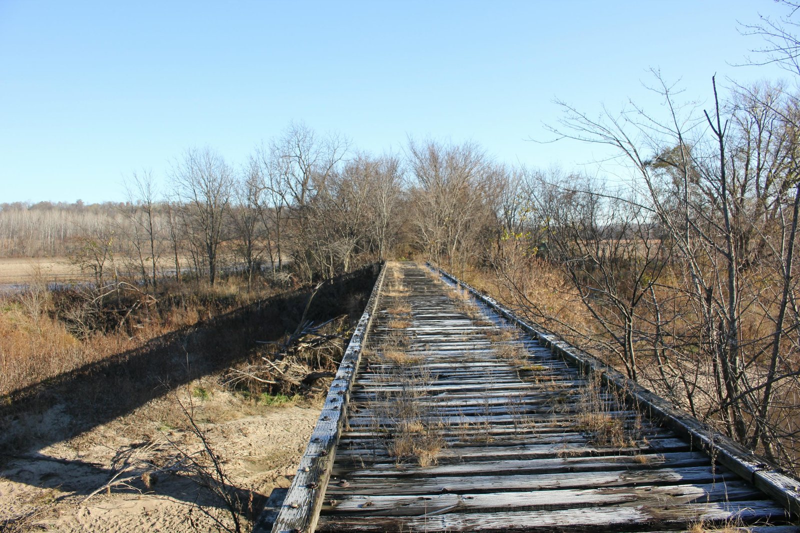 Looking south
